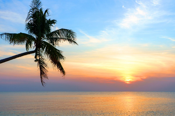 4D3N Phu Quoc Island Free and Easy Tour - photo 32